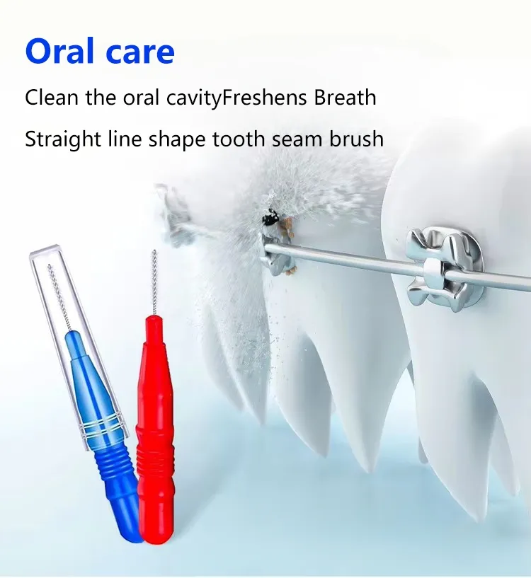 Interdental Cleaning System