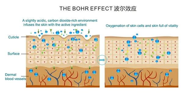 Hydro Facial Machine 5