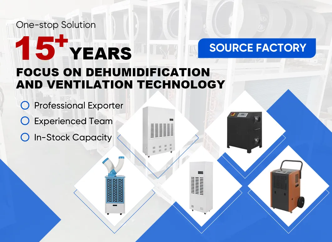 Crawl Space Dehumidifier