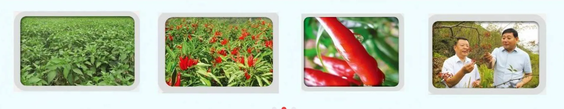 تطبيق المنتج