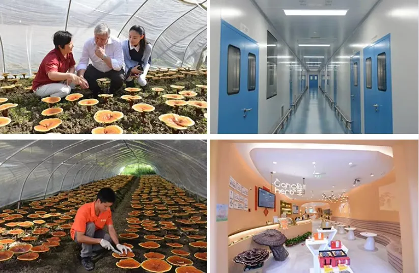 Production Facility