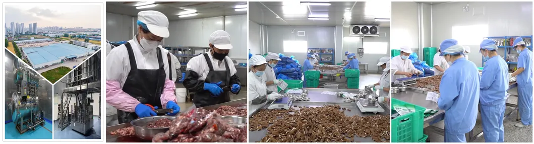 Línea de producción