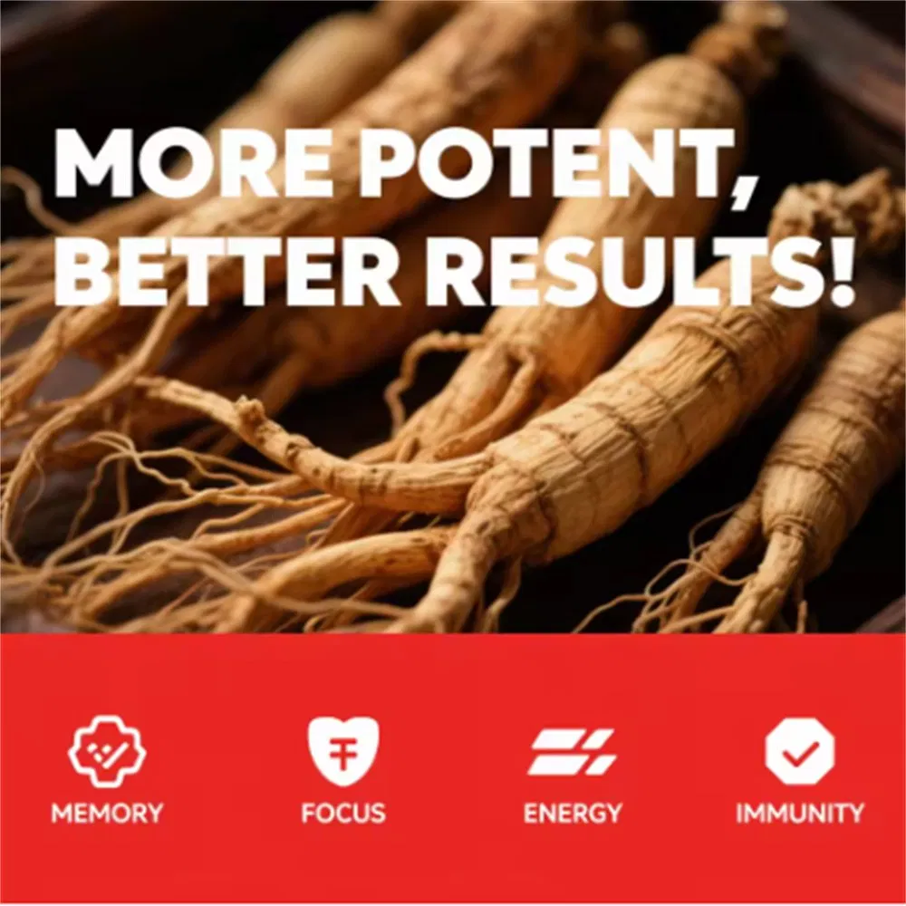 Bebida líquida oral de ginseng rojo coreano personalizada para mejorar la energía