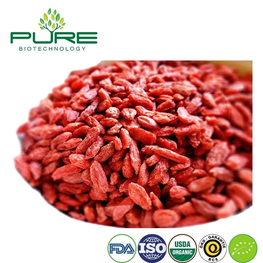 Bayas de Goji orgánicas para mezclas de frutos secos y bocadillos nutritivos