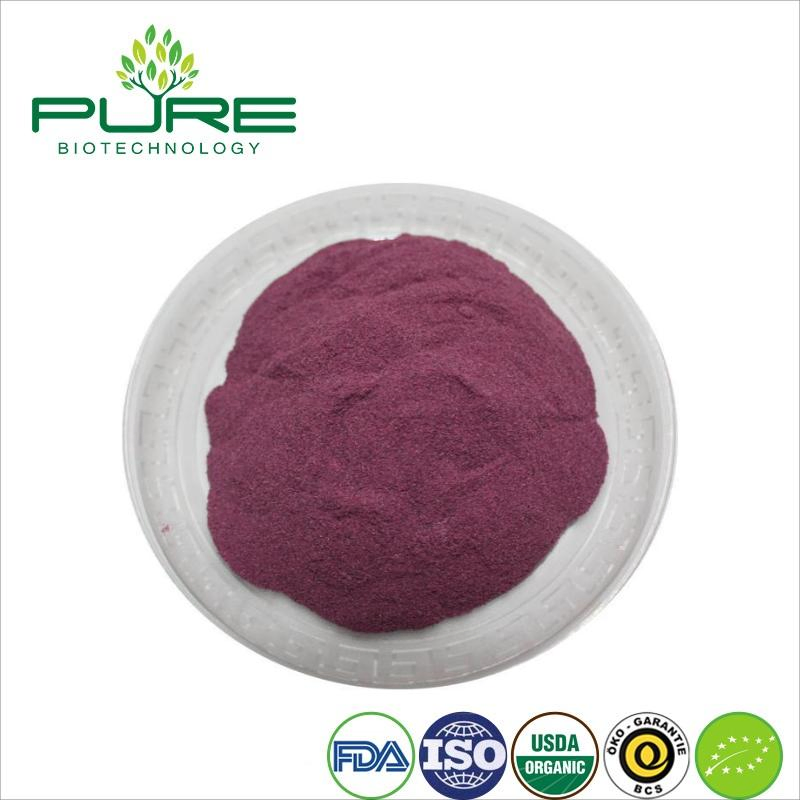 Polvo de Acai Orgánico para Batidos Energizantes y Nutritivos