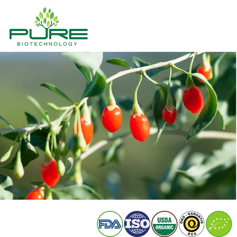 Jugo de Goji Orgánico Claro - Bebida Superalimento Refrescante para un Aumento de Energía Diario