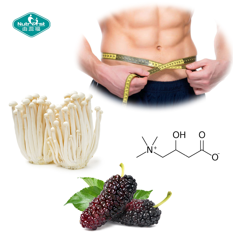 Bebida de L-Carnitina con frijoles blancos para perder peso, reponer energía y apoyar la salud
