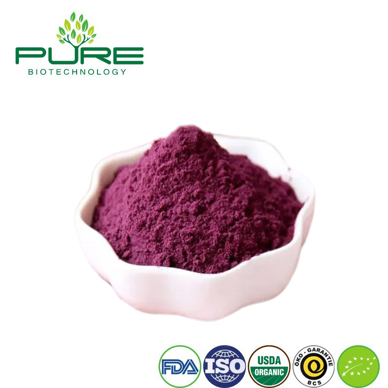 Polvo de Superalimento de Acai Orgánico para Máximos Beneficios para la Salud