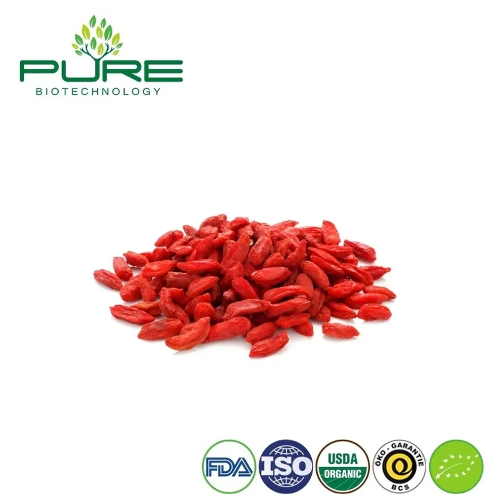 Snack de Goji de Ningxia Orgánico Premium para consumidores conscientes de la salud