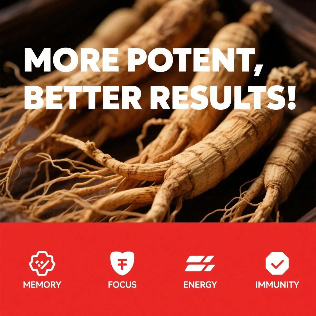 Bebida de Ginseng Rojo para Aumentar la Energía y Aumentar la Resistencia de Soporte Inmunológico OEM