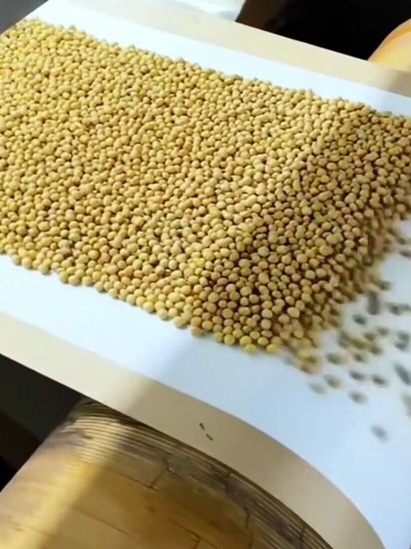 Fábrica 1