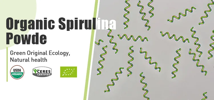 Polvo de Espirulina Natural
