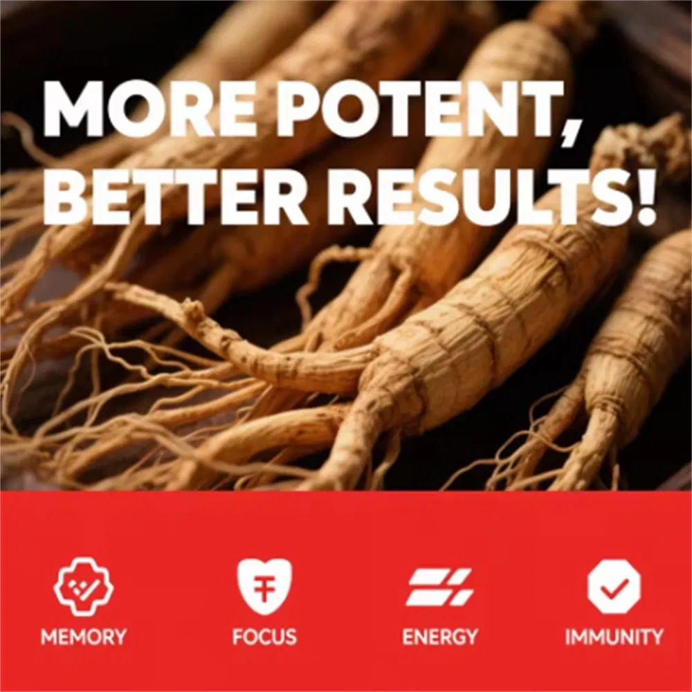 Bebida premium de extracto de ginseng rojo coreano OEM/ODM para energía y enfoque mejorados