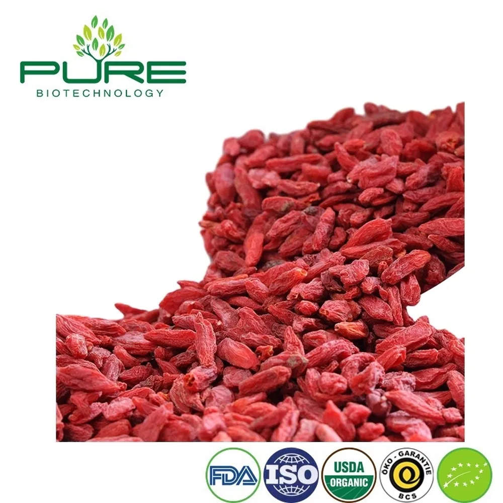 Bayas de Goji orgánicas para mezclas de frutos secos y bocadillos nutritivos