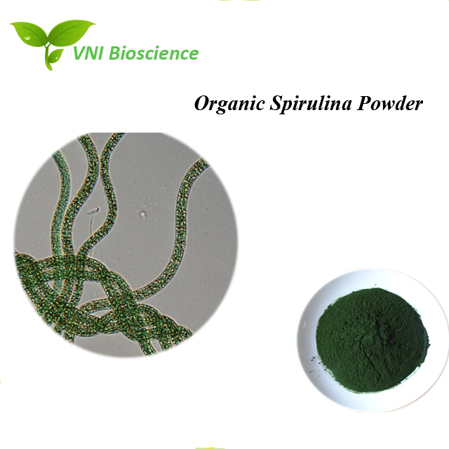 Polvo de Espirulina Orgánica Natural Certificada Halal 100% para Suplemento Nutricional