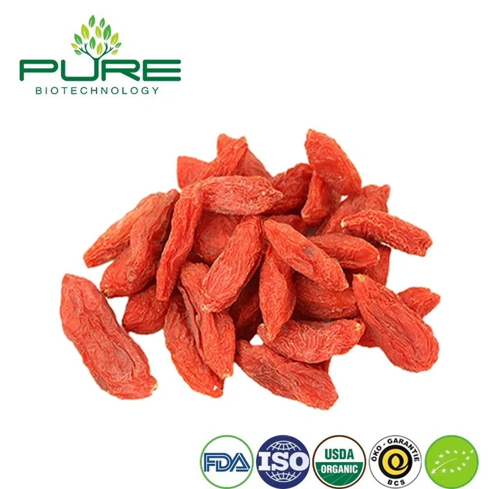 Snack de Goji de Ningxia Orgánico Premium para consumidores conscientes de la salud