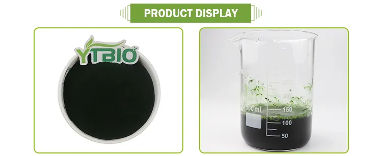 Proceso de Espirulina
