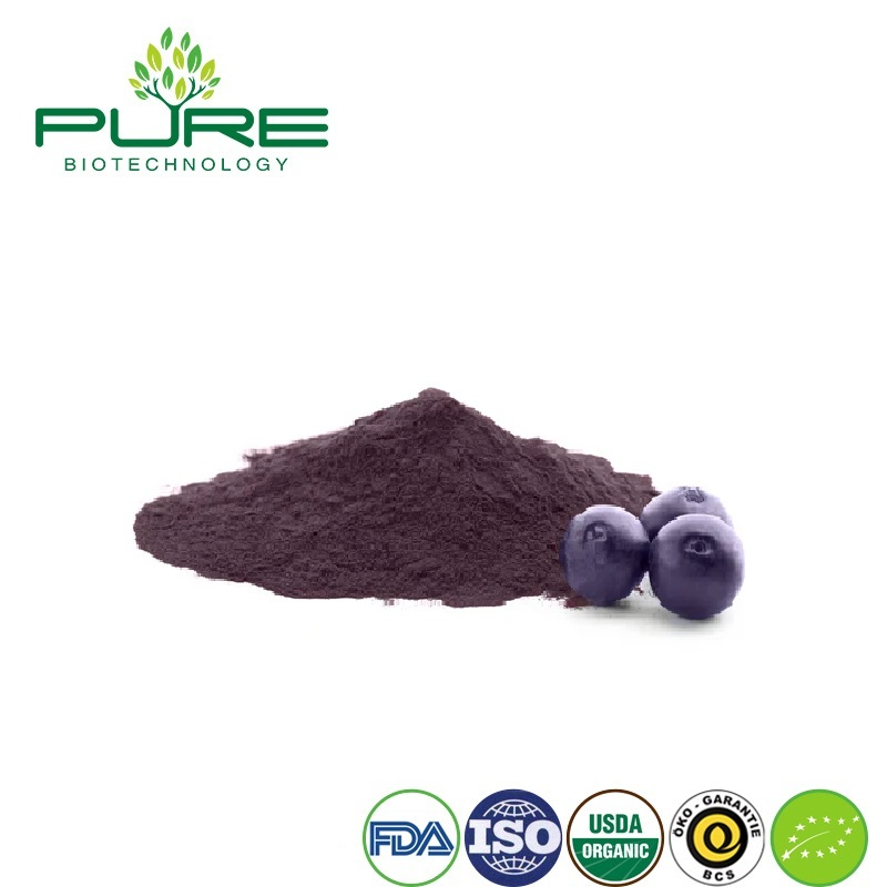 Polvo de Acai Berry Premium para un Bienestar y Vitalidad Mejorados