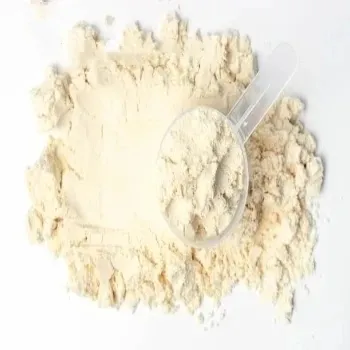 Proteína en Polvo