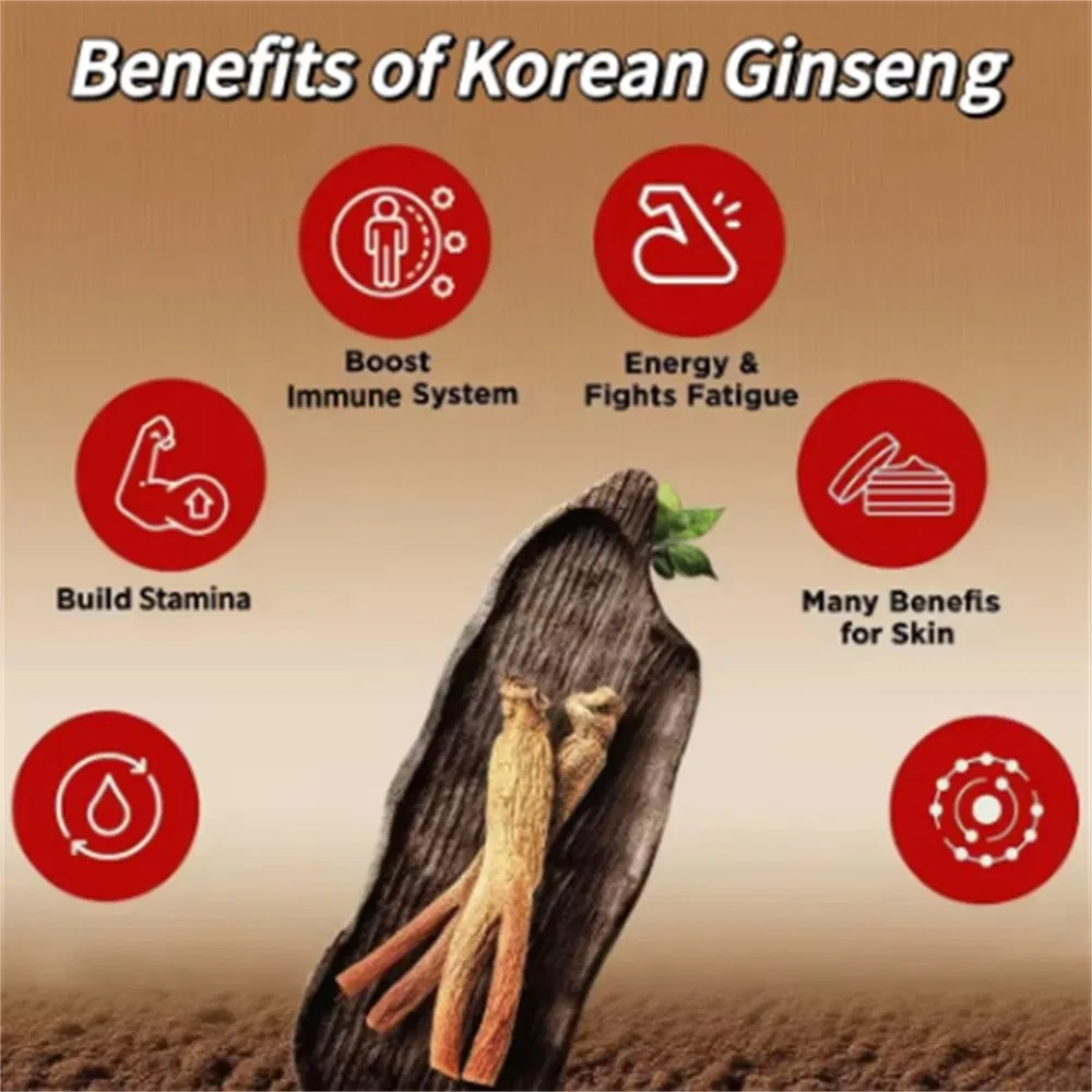 Bebida premium de extracto de ginseng rojo coreano OEM/ODM para energía y enfoque mejorados