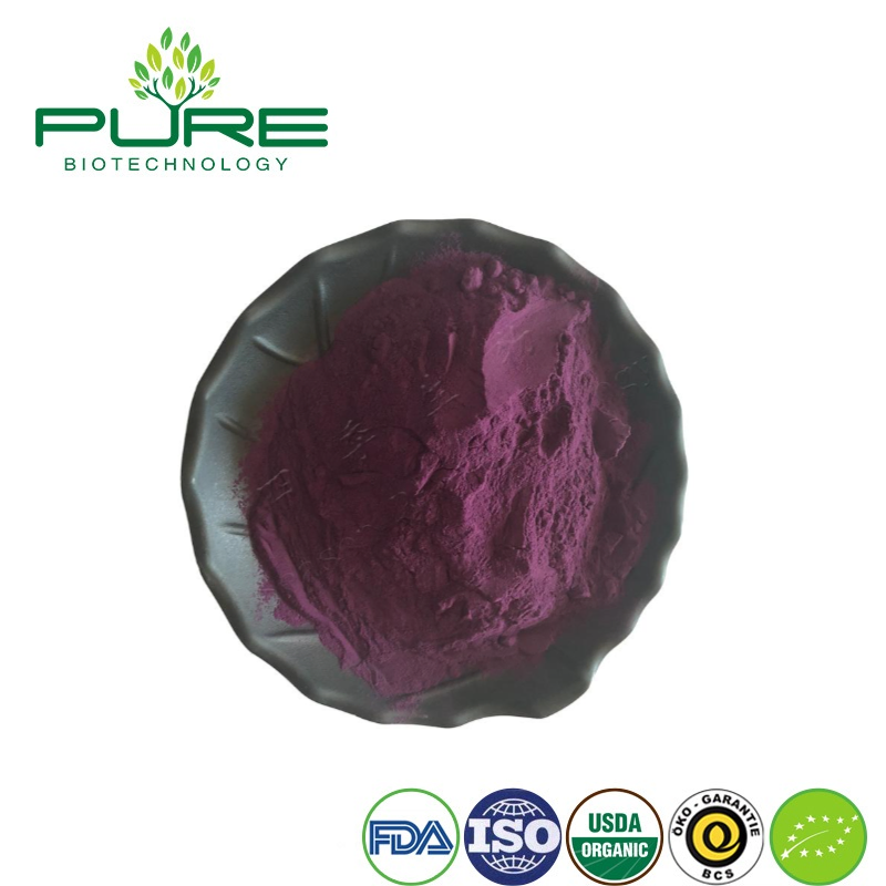 Polvo de Superalimento de Acai Orgánico para Máximos Beneficios para la Salud
