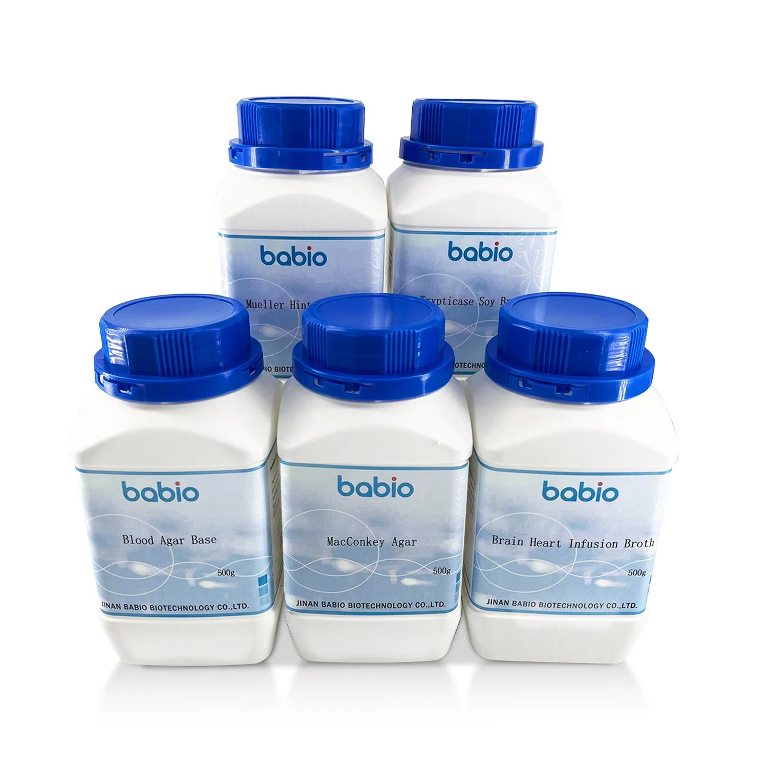 Base de Agar Sangre de Chocolate +5-10% Cultivo de Sangre de Oveja Neisseria y Haemophilus 90&deg; Protocolo de Hemólisis C