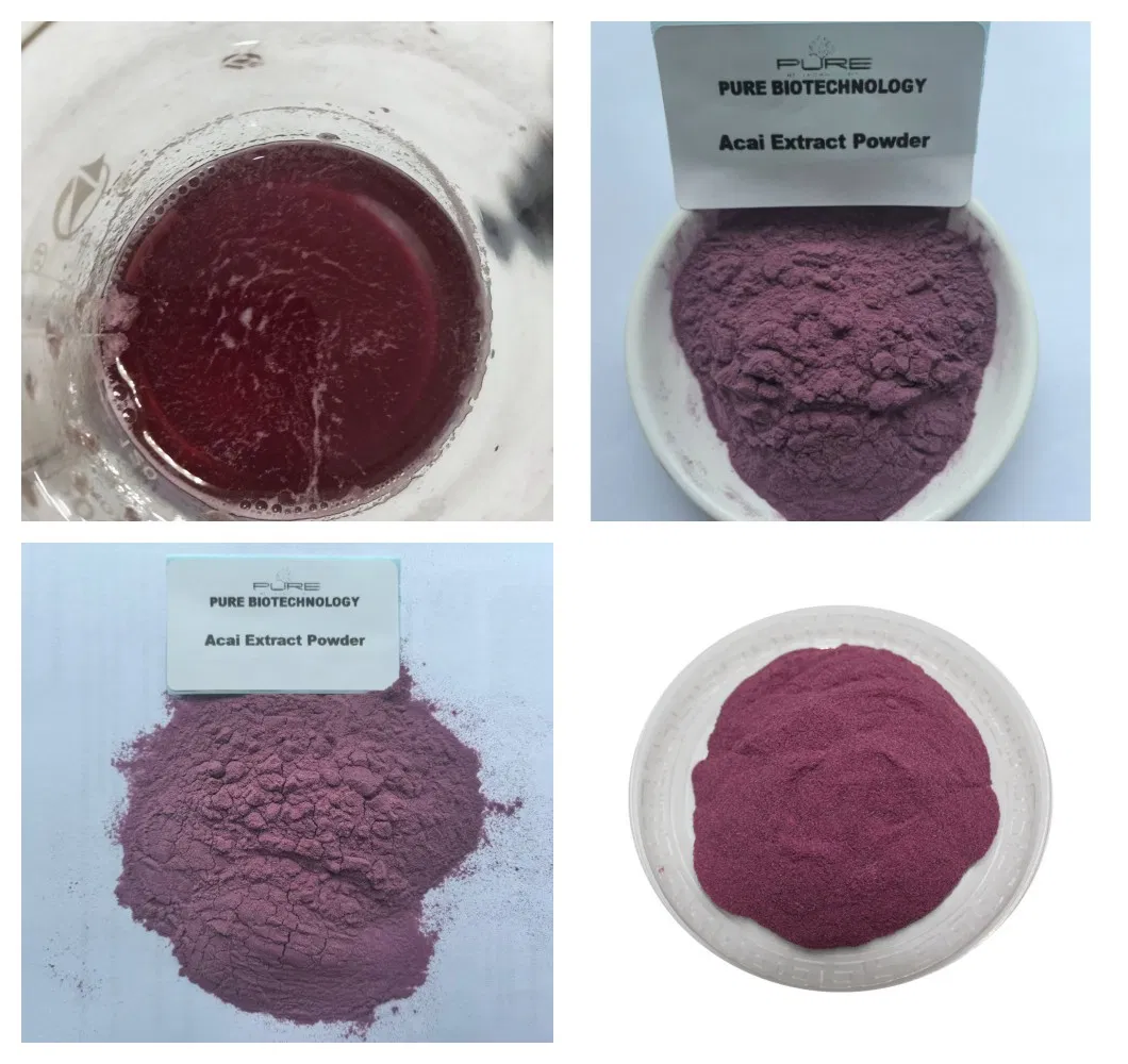Polvo de Superalimento de Acai Orgánico