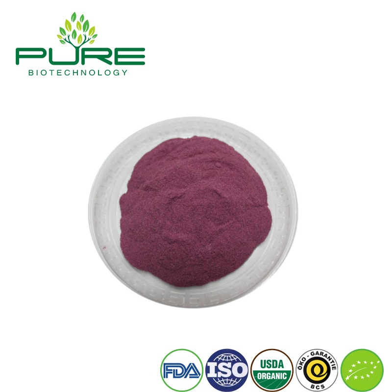 Polvo de Acai Berry Premium para un Bienestar y Vitalidad Mejorados