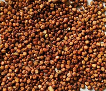 Máquina de extrusión de alimentos pequeña y barata con alta calidad 30-40kg/Hour