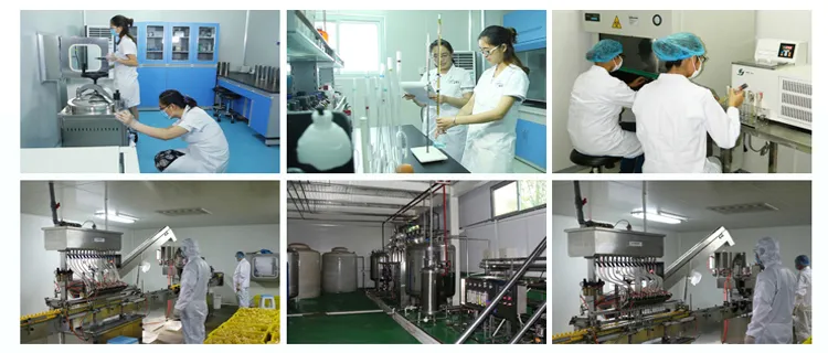 Laboratorio