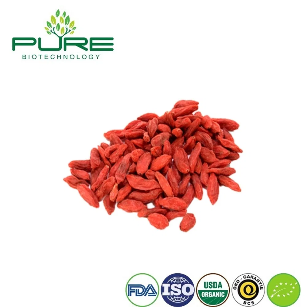 Bayas de Goji de Ningxia Premium: Snack Saludable para Suministros de Vending