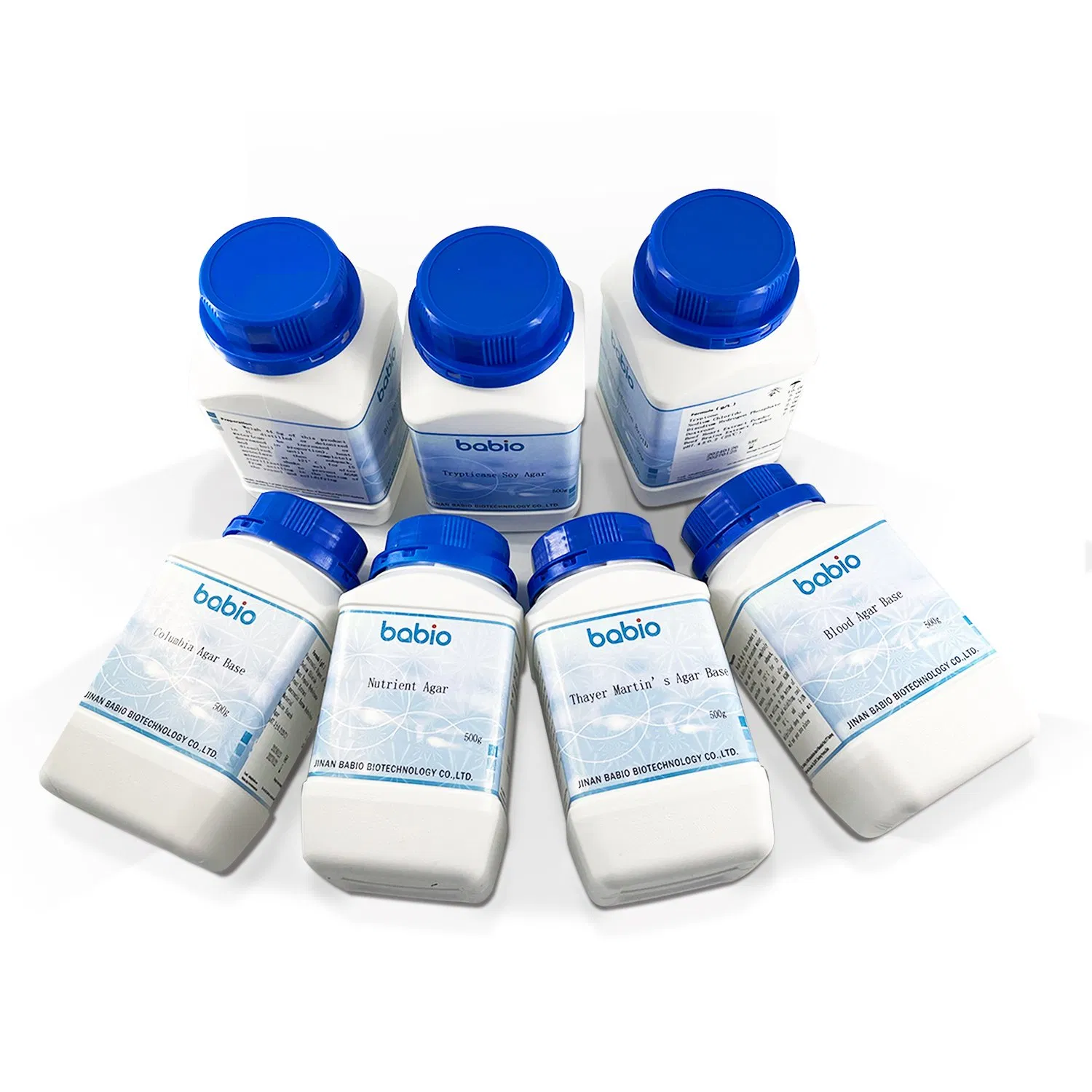 Base de Agar Sangre de Chocolate +5-10% Cultivo de Sangre de Oveja Neisseria y Haemophilus 90&deg; Protocolo de Hemólisis C