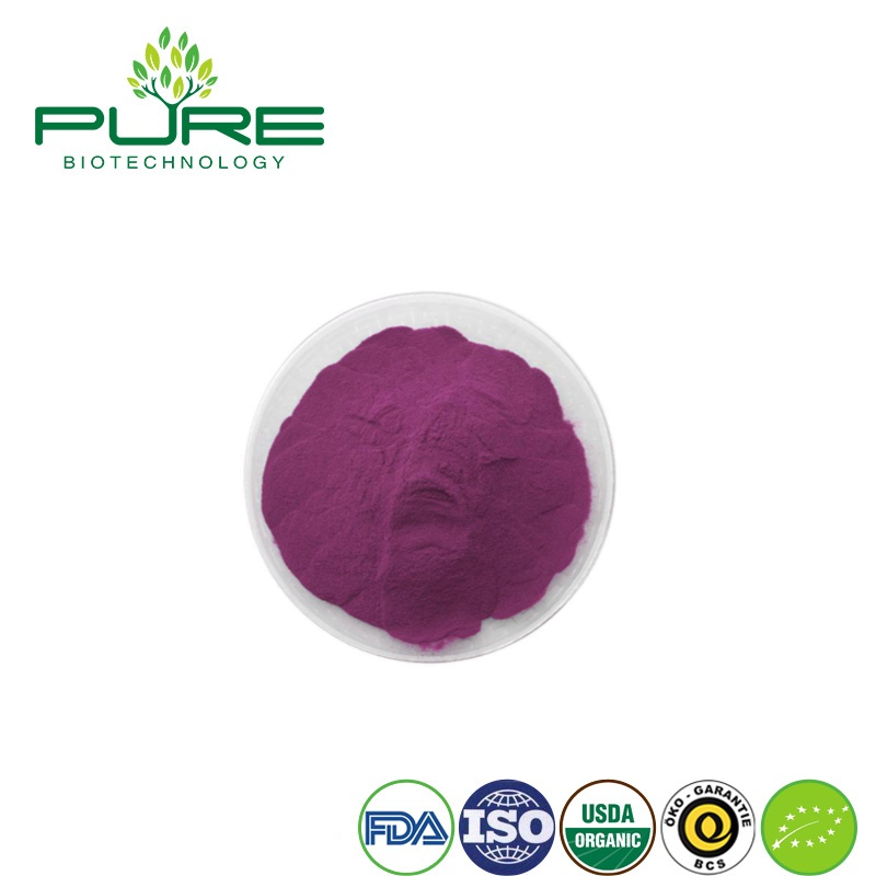 Polvo de Acai Orgánico para Batidos Energizantes y Nutritivos