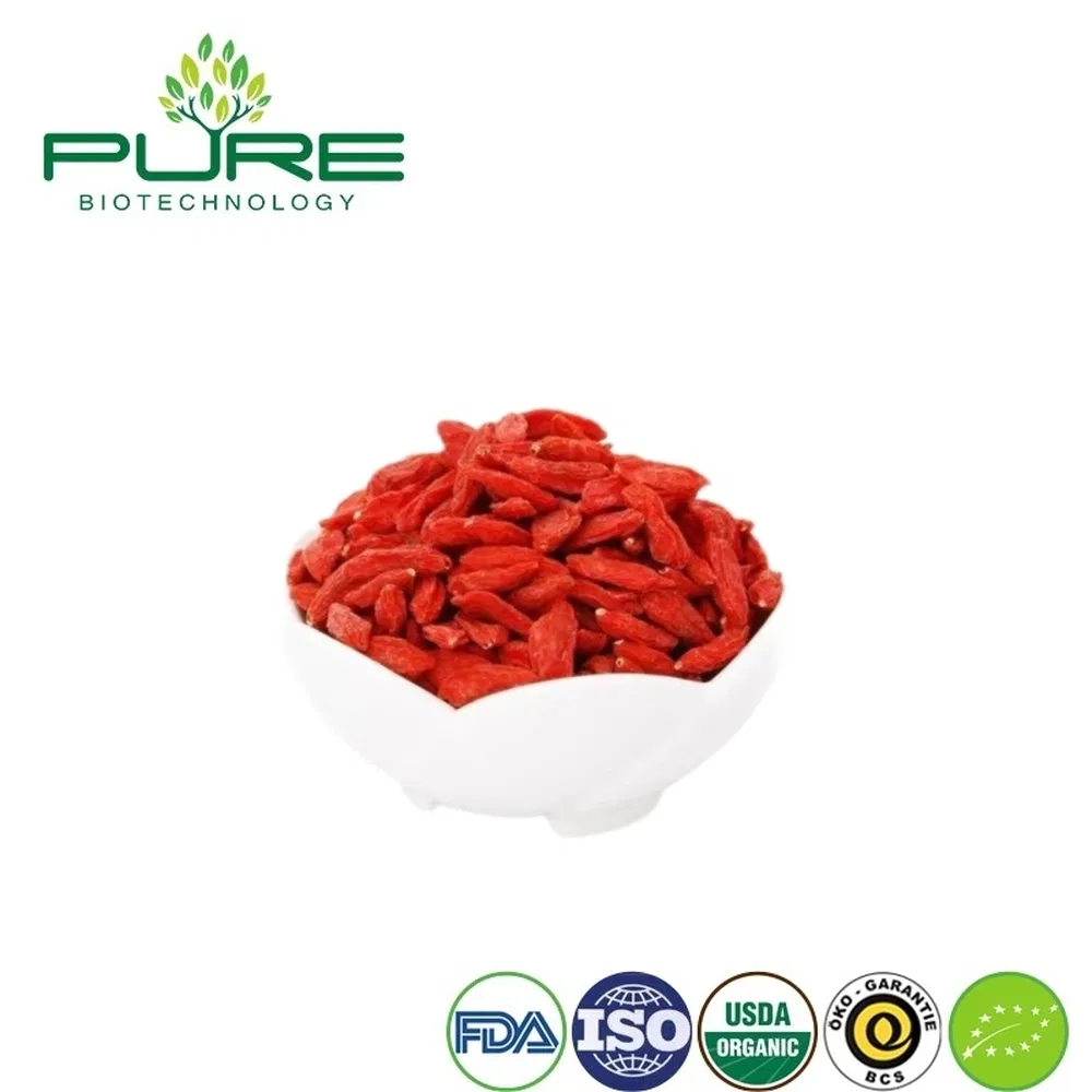 Snack de Goji de Ningxia Orgánico Premium para consumidores conscientes de la salud
