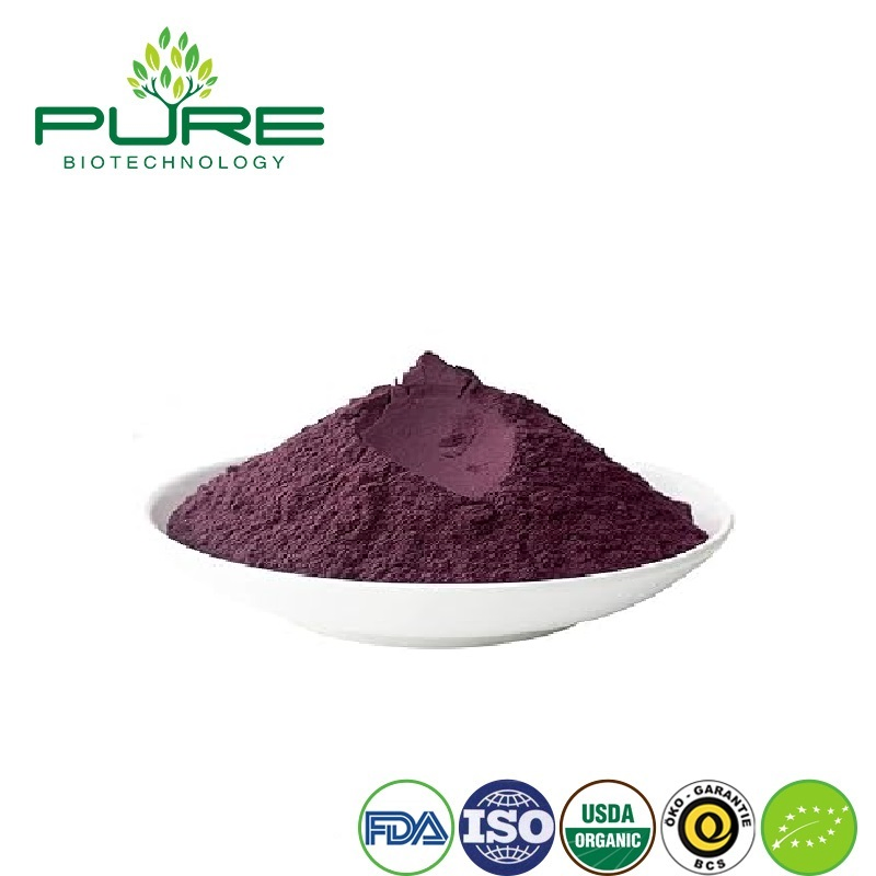 Polvo de baya de acai rico en nutrientes para tazones de batido saludables