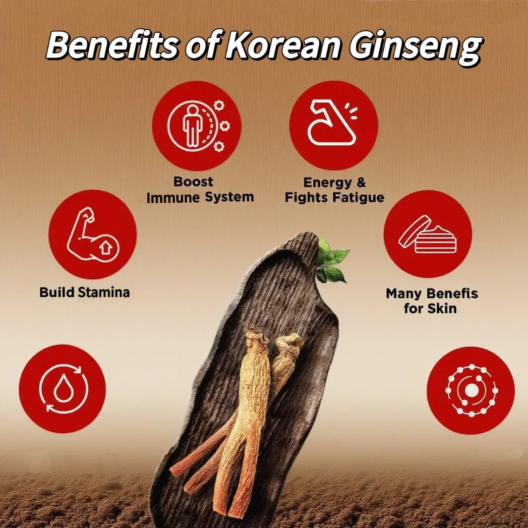 OEM Reduce la fatiga Proporciona energía Aumenta la resistencia Bebida de ginseng rojo coreano