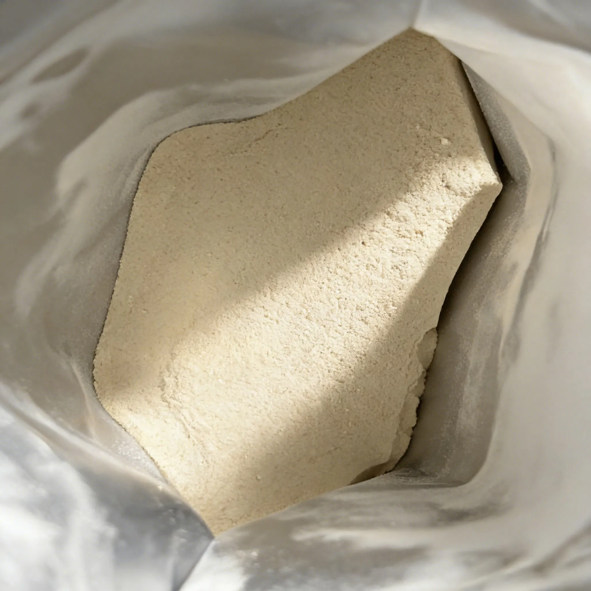 Delicioso polvo de proteína de suero de leche, de rápida disolución, suplemento nutricional diario