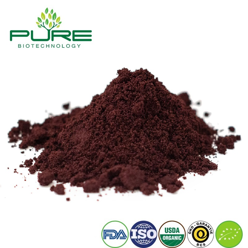 Suplemento de Acai Berry Orgánico Premium para el Apoyo a la Salud Inmunológica