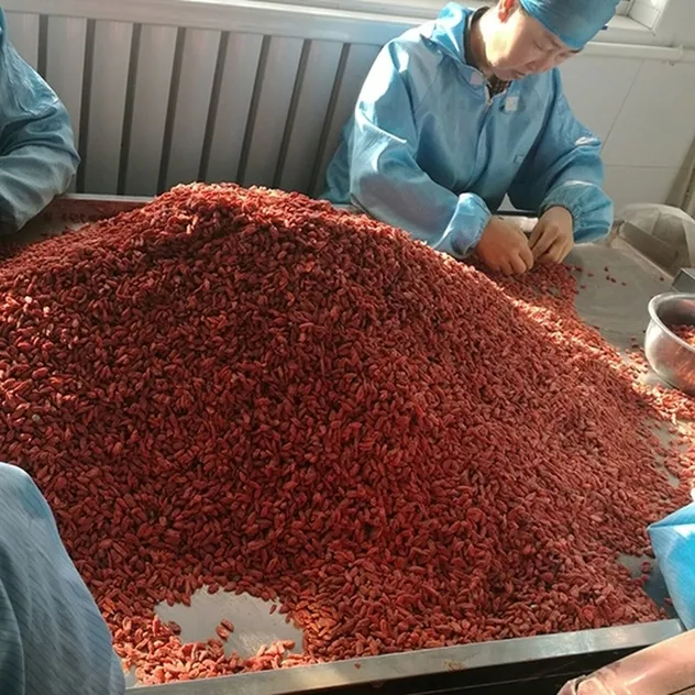 Calidad Goji 2