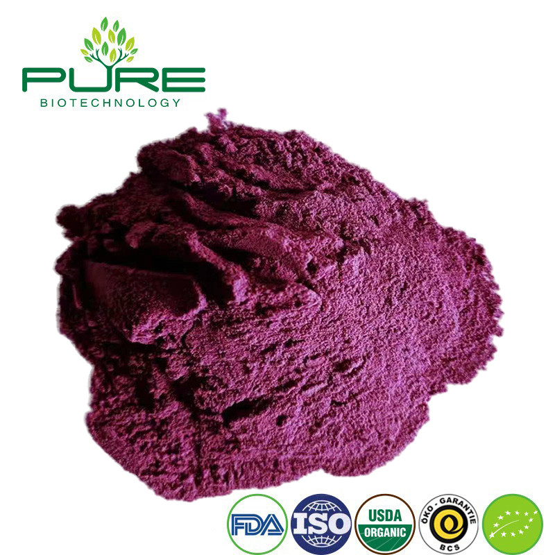 Polvo de Superalimento de Acai Orgánico para Máximos Beneficios para la Salud