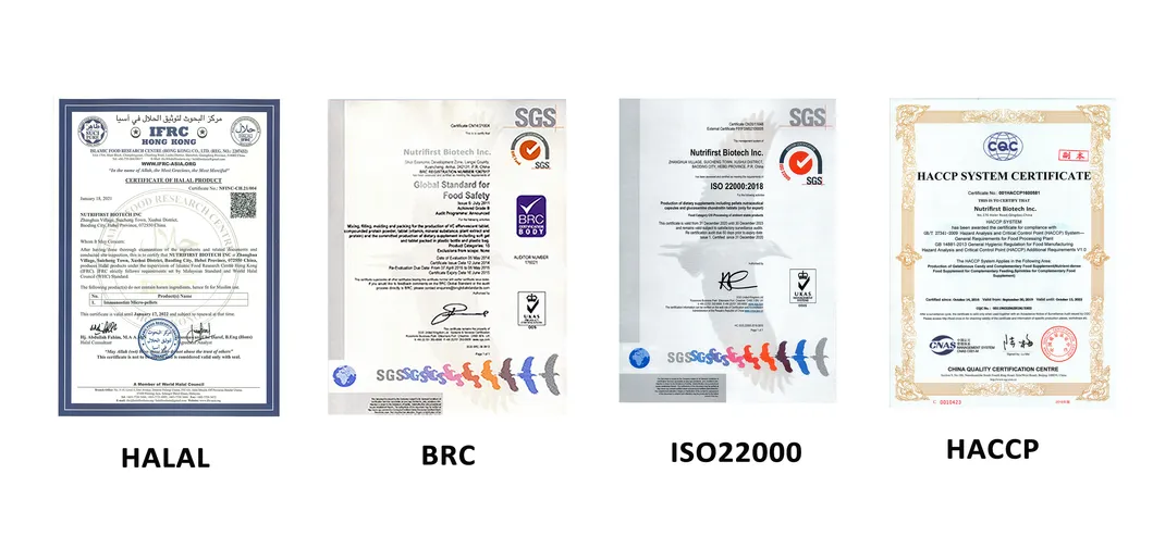 Certificados