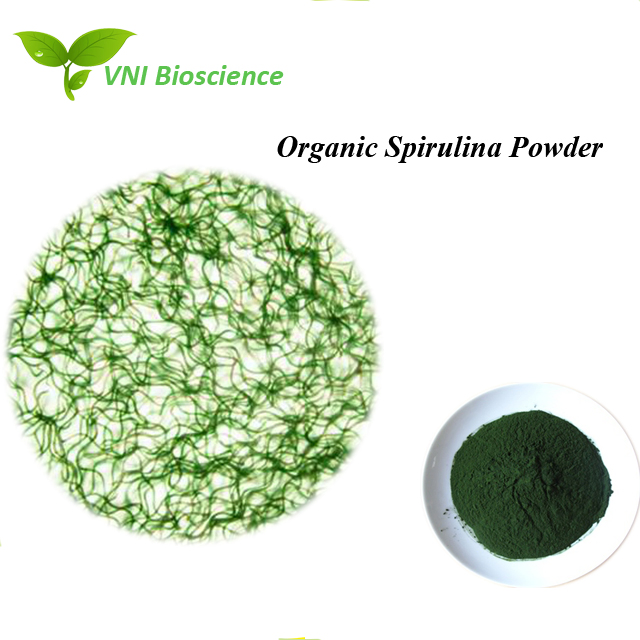 Polvo de Espirulina Orgánica Natural Certificada Halal 100% para Suplemento Nutricional
