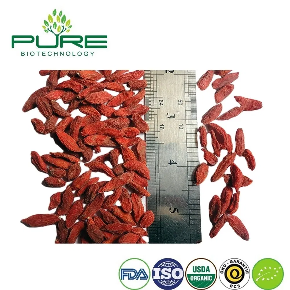 Snack de Goji de Ningxia Orgánico Premium para consumidores conscientes de la salud