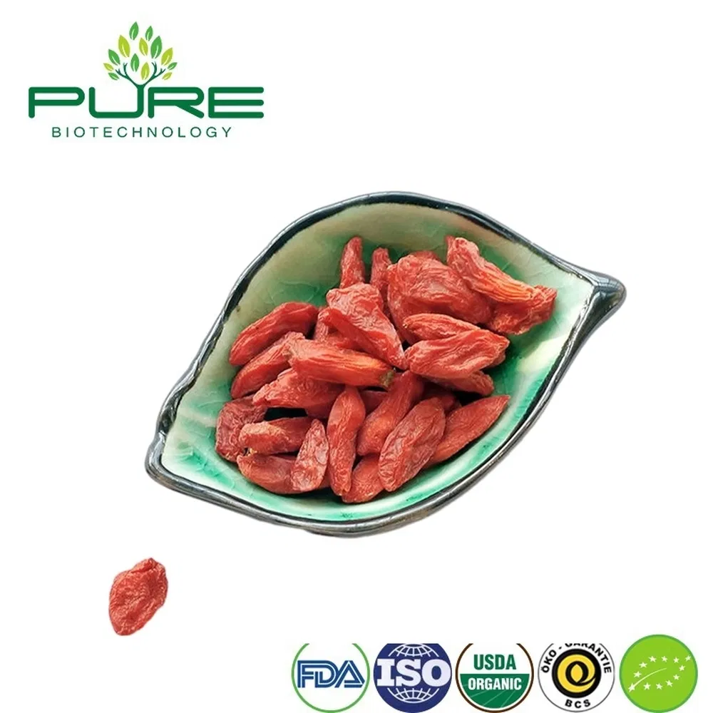 Snack de Goji de Ningxia Orgánico Premium para consumidores conscientes de la salud