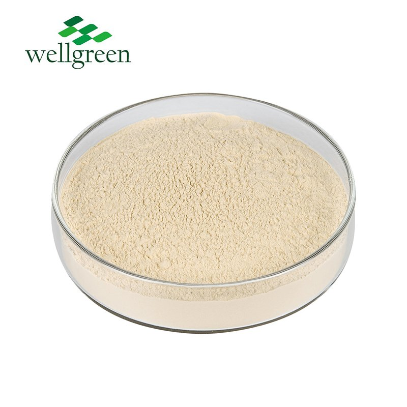 Suplemento Nutricional Materia Prima 85% Aislado de Proteína de Guisante Amarillo en Polvo