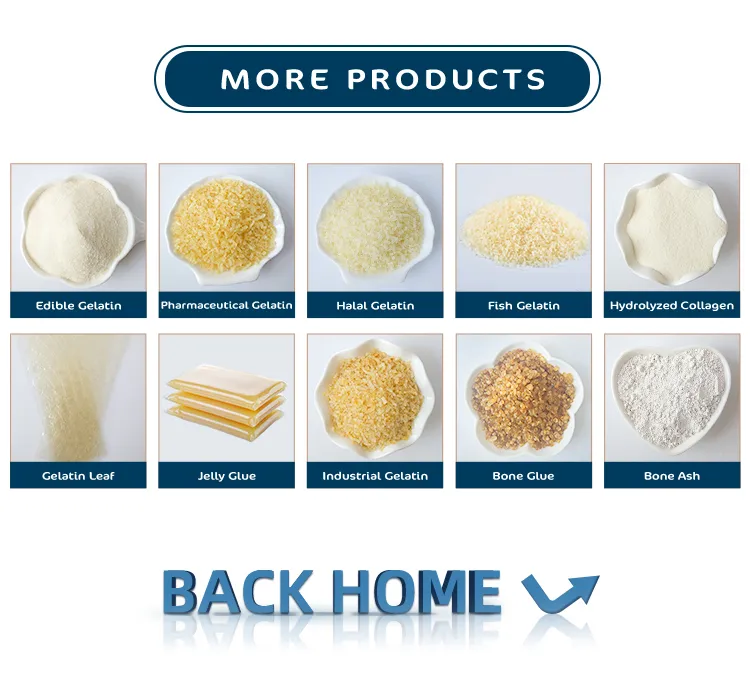 Productos