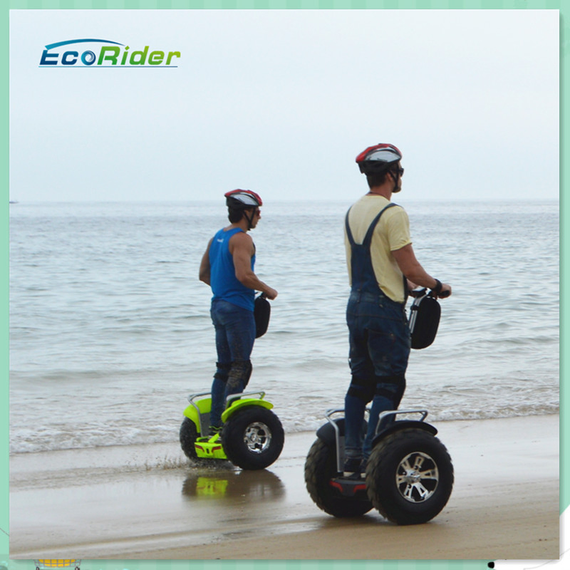 China Factory Electric Vehicle Electric Scooter