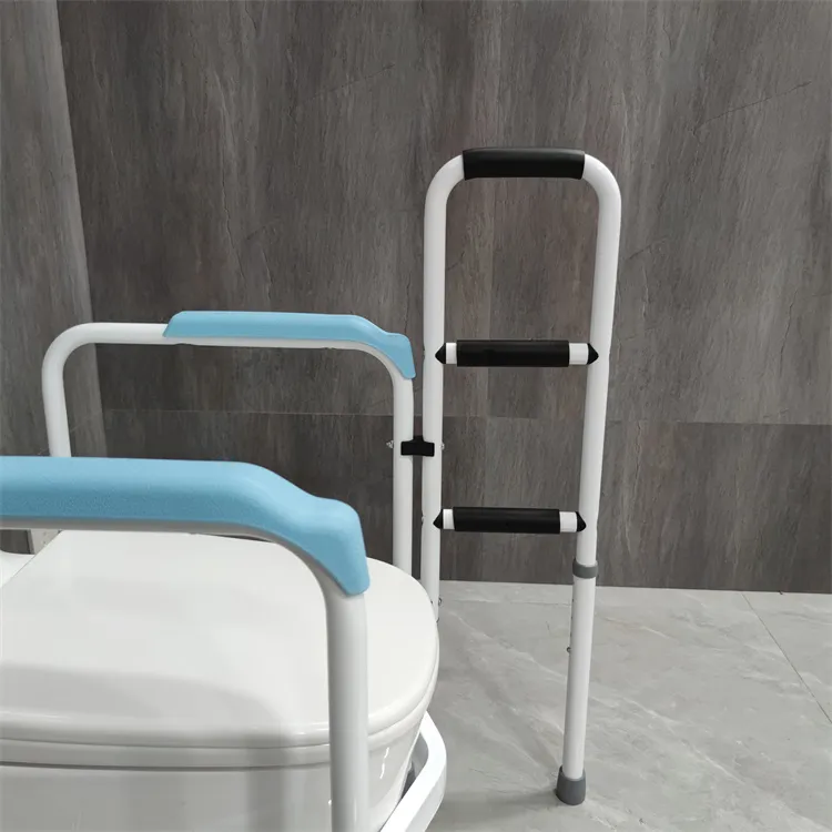 Toilet Safety Grab Rail