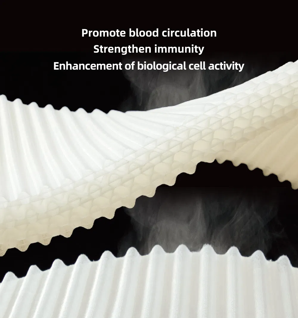 Tecforcare Medical Mattress for The Elderly Waterproof Cover Water Bed Medical Mattress Anti Decubitus Mattress for Hospital Bed