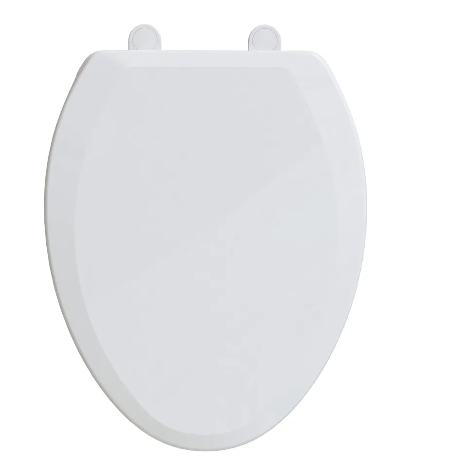 Raised Toilet Seat Detail 1